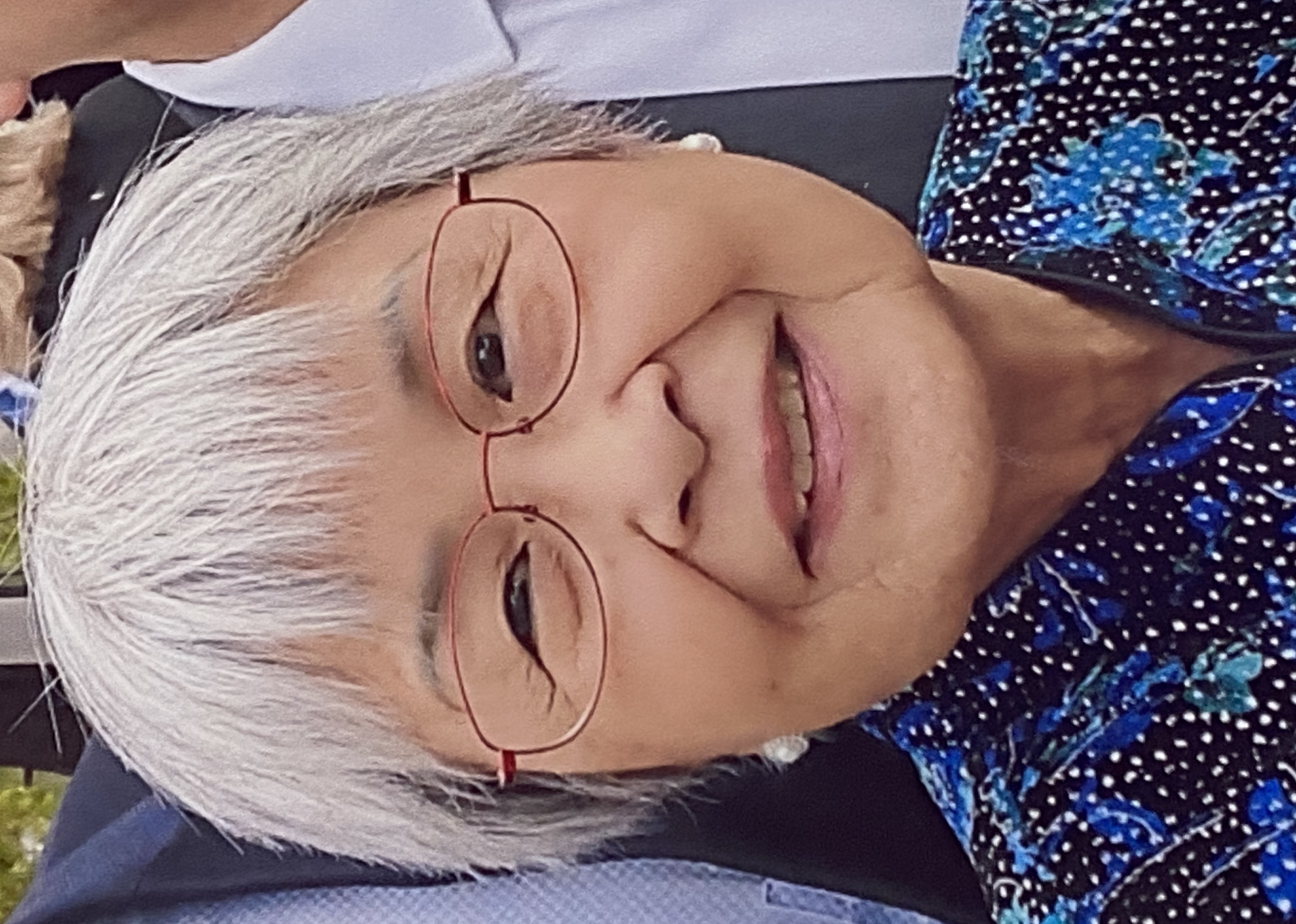 Pauline Chi-Fui Chen Han